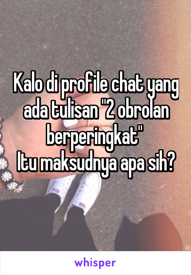 Kalo di profile chat yang ada tulisan "2 obrolan berperingkat" 
Itu maksudnya apa sih? 