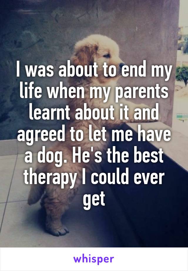 I was about to end my life when my parents learnt about it and agreed to let me have a dog. He's the best therapy I could ever get