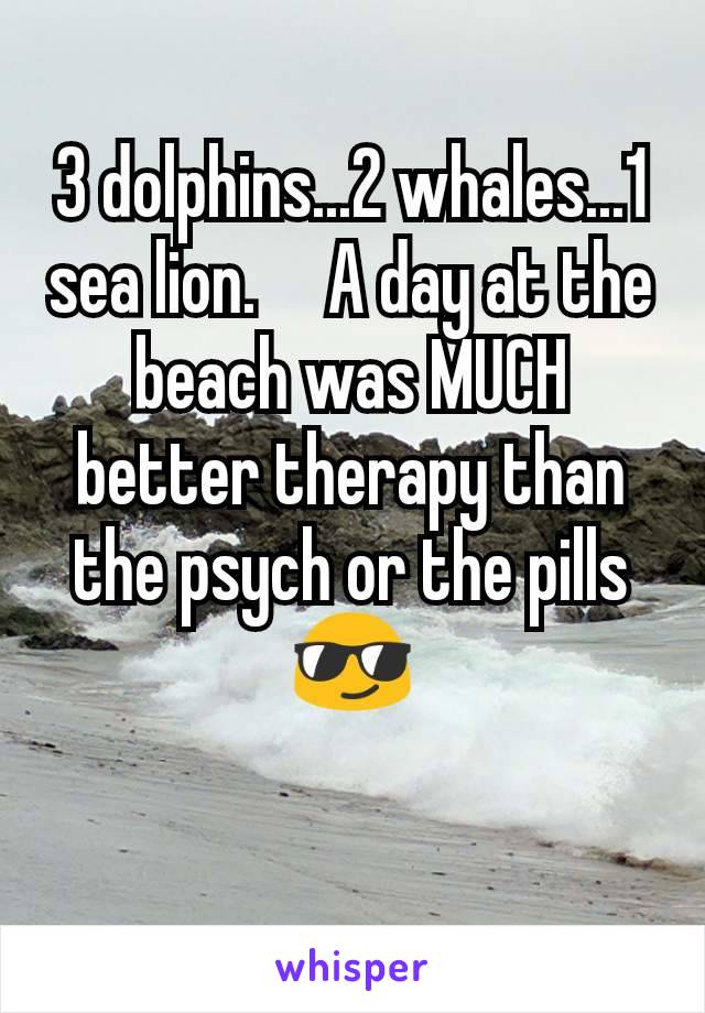 3 dolphins...2 whales...1 sea lion.     A day at the beach was MUCH better therapy than the psych or the pills 😎