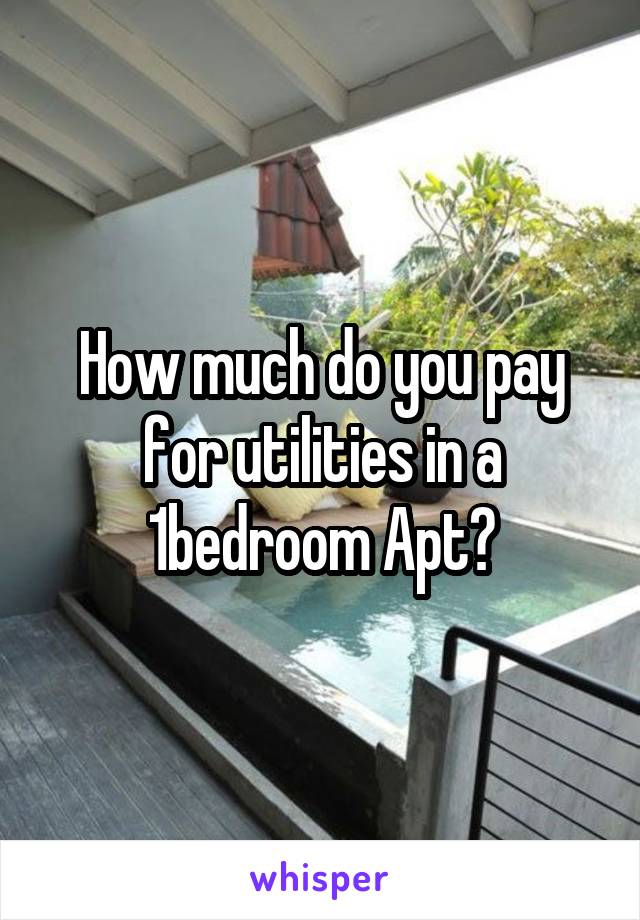 How much do you pay for utilities in a 1bedroom Apt?