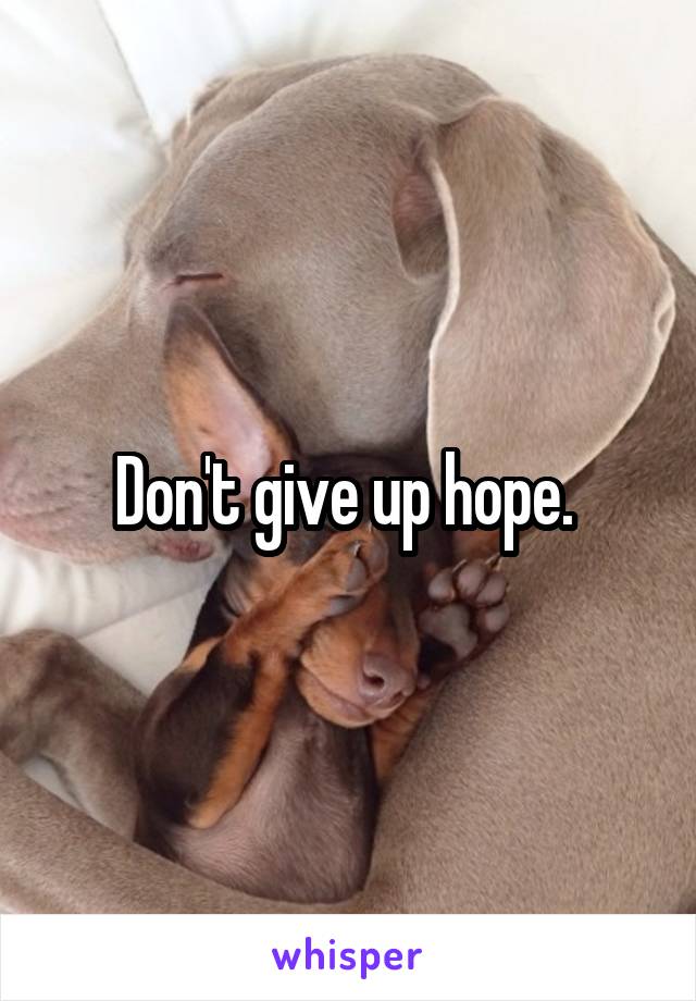 Don't give up hope. 