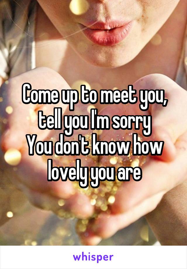 Come up to meet you, tell you I'm sorry
You don't know how lovely you are
