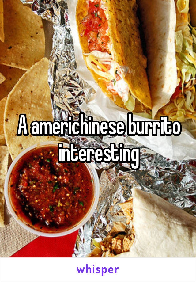 A americhinese burrito interesting