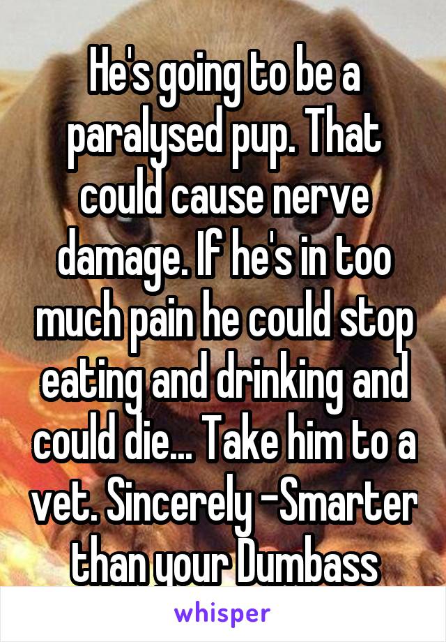 He's going to be a paralysed pup. That could cause nerve damage. If he's in too much pain he could stop eating and drinking and could die... Take him to a vet. Sincerely -Smarter than your Dumbass