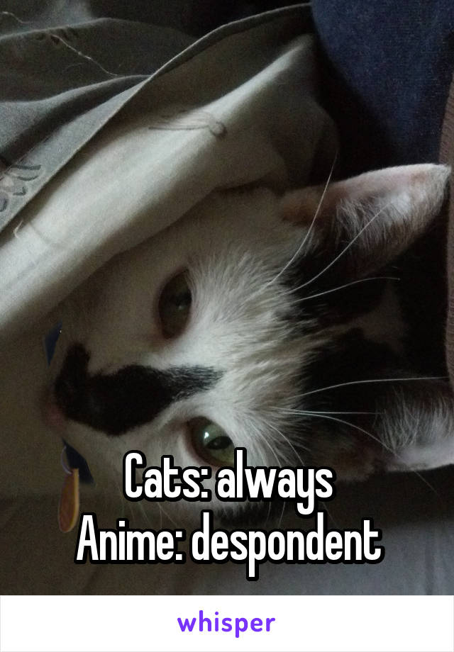 





Cats: always
Anime: despondent