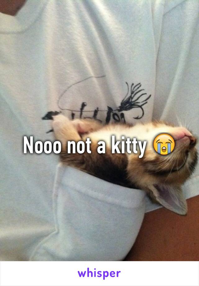 Nooo not a kitty ðŸ˜­