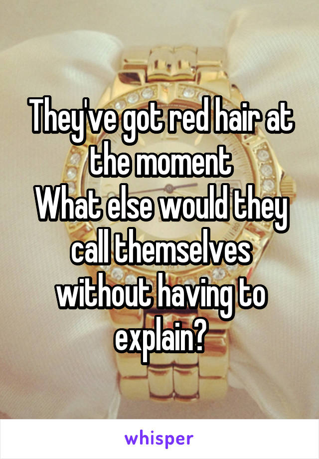 They've got red hair at the moment
What else would they call themselves without having to explain?