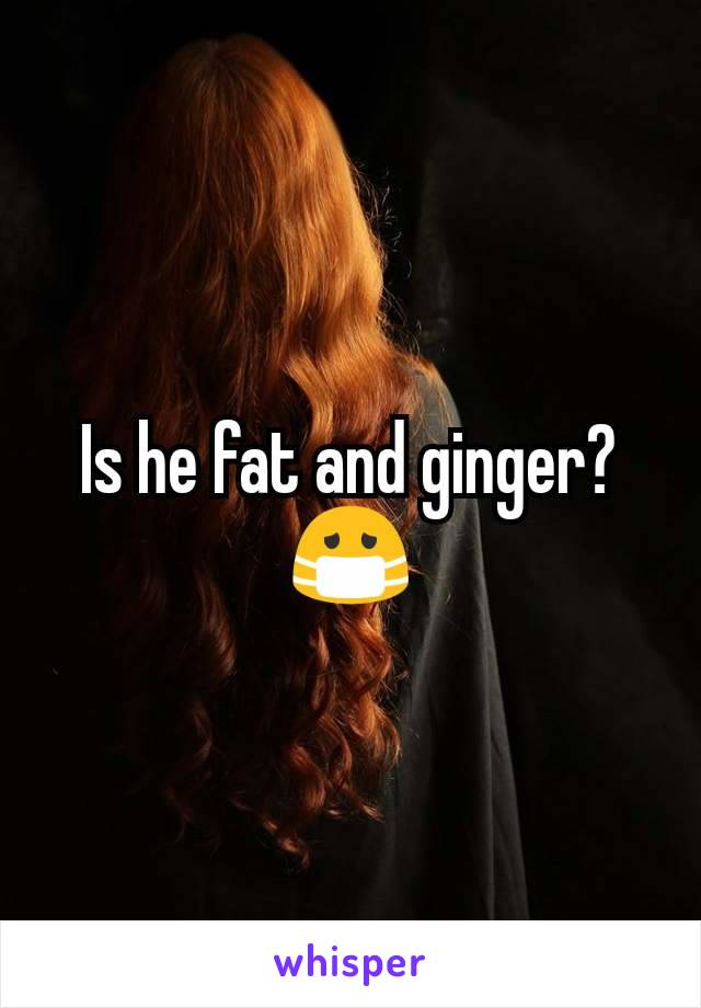 Is he fat and ginger? 😷