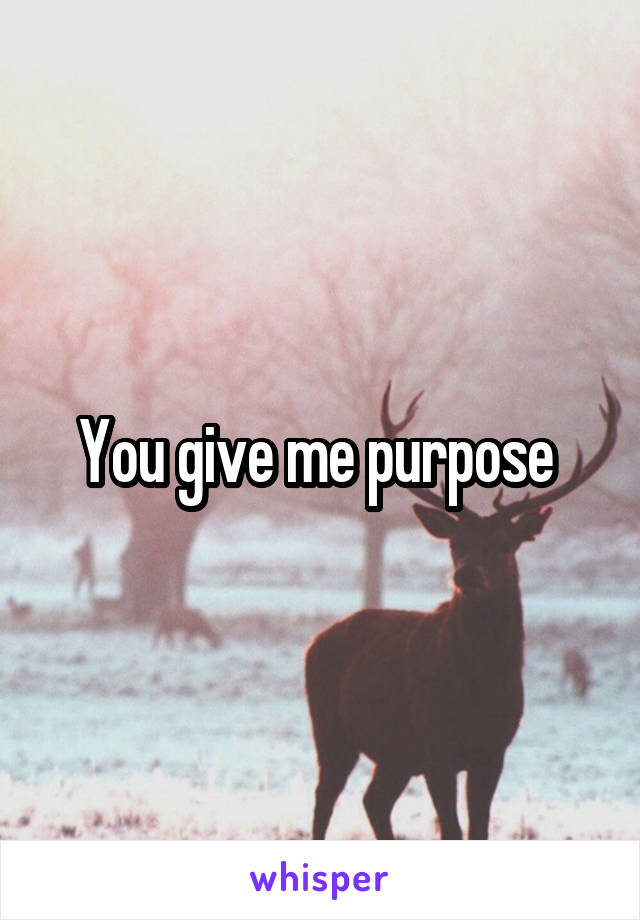 You give me purpose 
