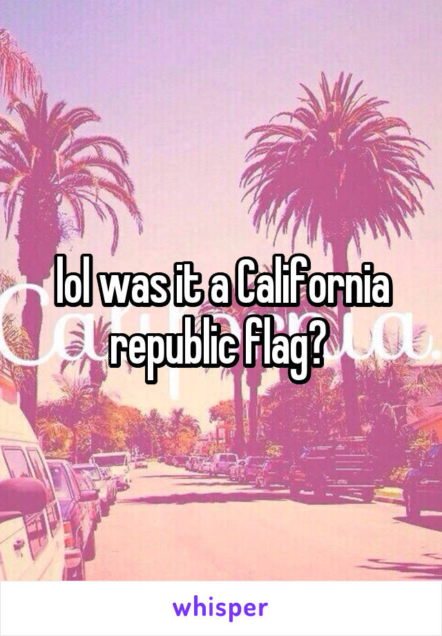 lol was it a California republic flag? 