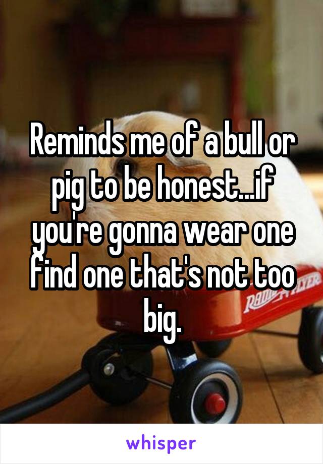 Reminds me of a bull or pig to be honest...if you're gonna wear one find one that's not too big.