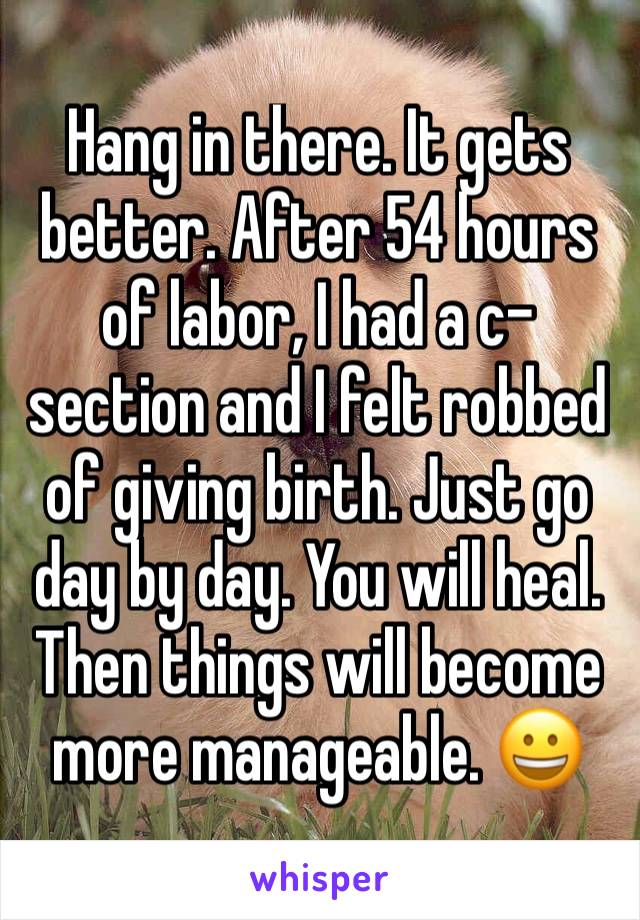 Hang in there. It gets better. After 54 hours of labor, I had a c-section and I felt robbed of giving birth. Just go day by day. You will heal. Then things will become more manageable. 😀