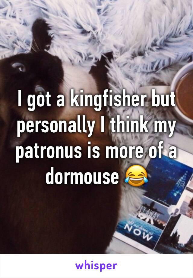 I got a kingfisher but personally I think my patronus is more of a dormouse 😂