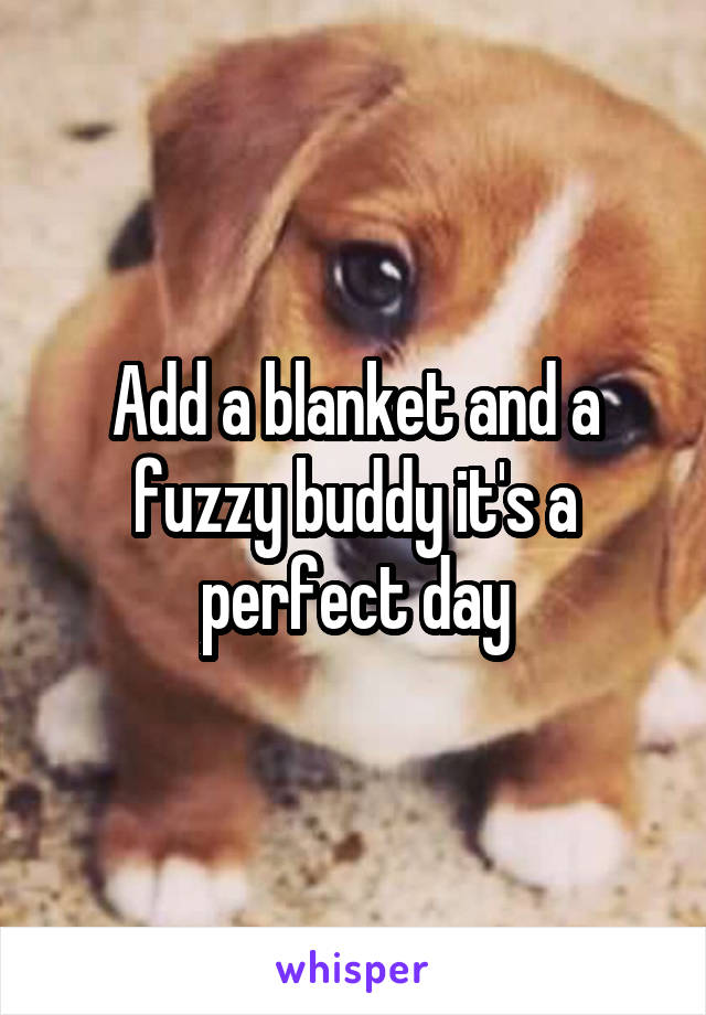 Add a blanket and a fuzzy buddy it's a perfect day