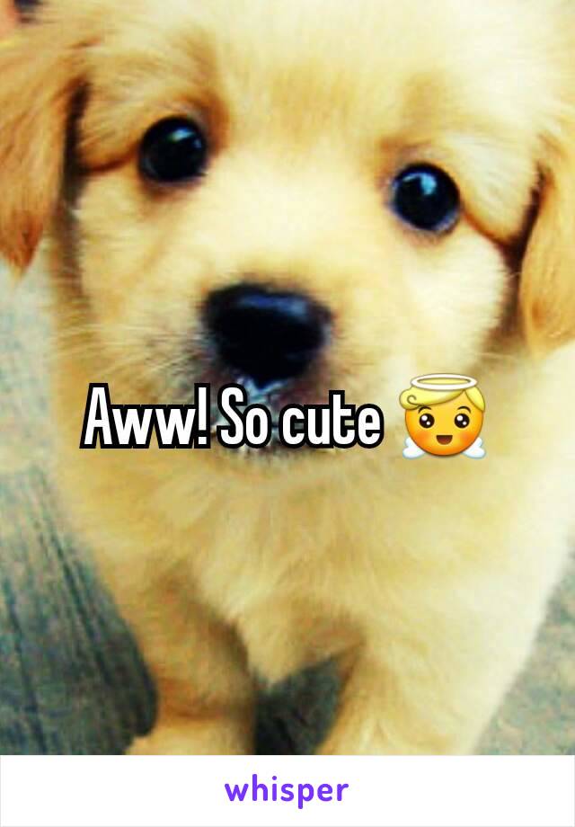 Aww! So cute 😇