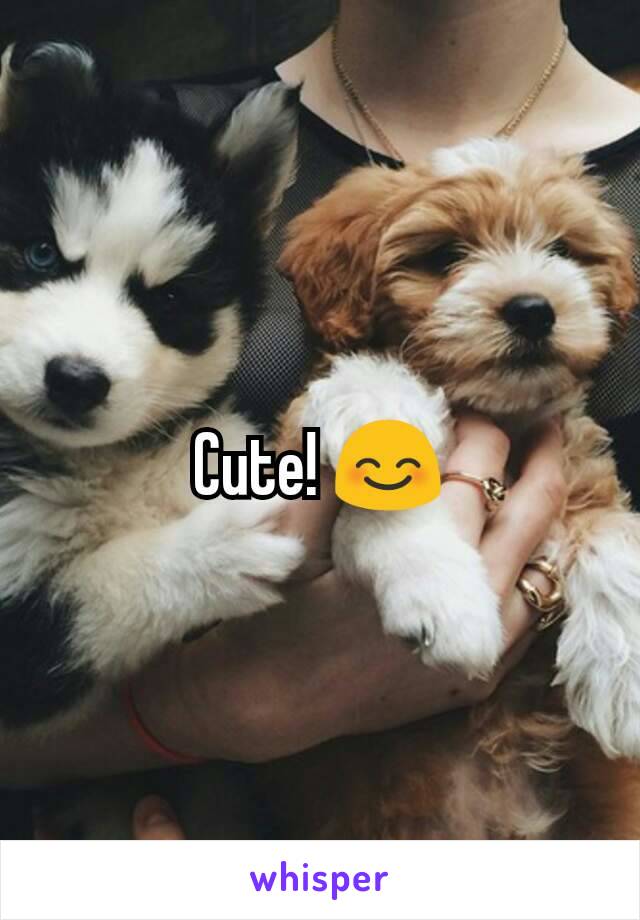 Cute! 😊