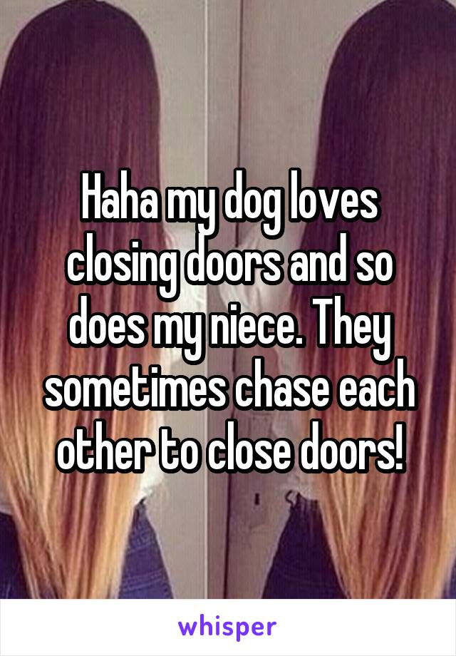 Haha my dog loves closing doors and so does my niece. They sometimes chase each other to close doors!