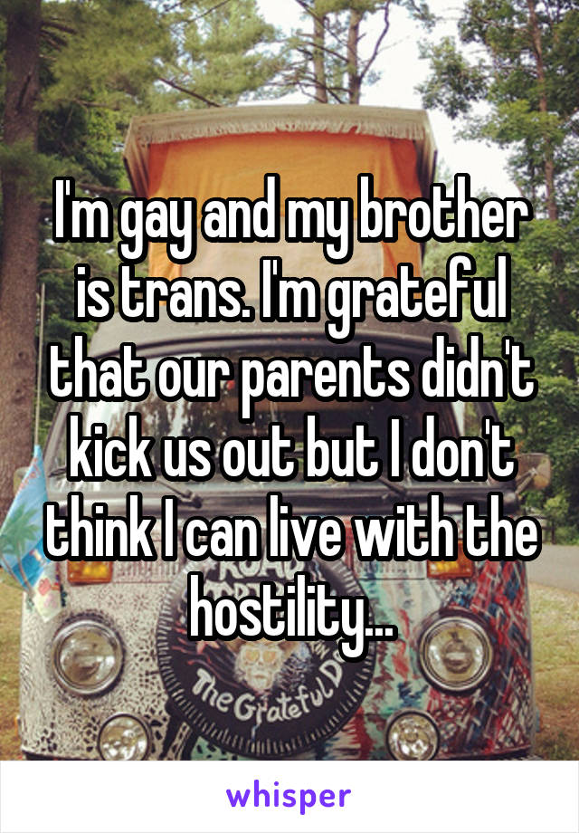 I'm gay and my brother is trans. I'm grateful that our parents didn't kick us out but I don't think I can live with the hostility...