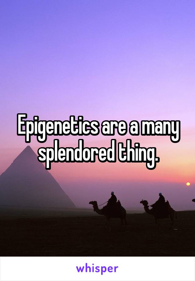 Epigenetics are a many splendored thing.