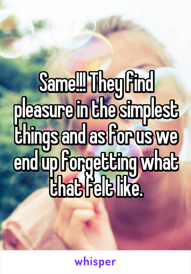 Same!!! They find pleasure in the simplest things and as for us we end up forgetting what that felt like.