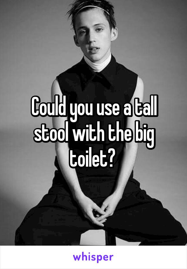 Could you use a tall stool with the big toilet? 