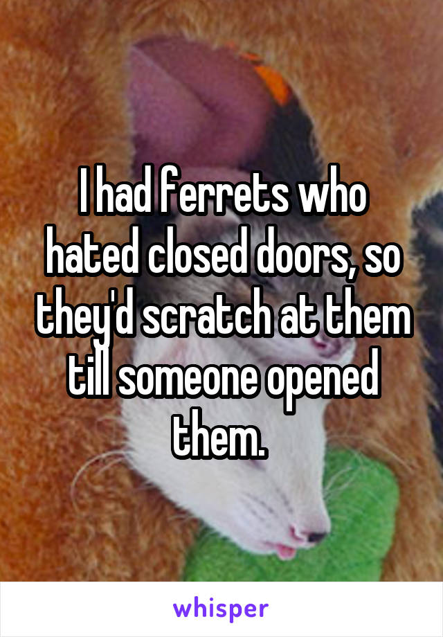 I had ferrets who hated closed doors, so they'd scratch at them till someone opened them. 