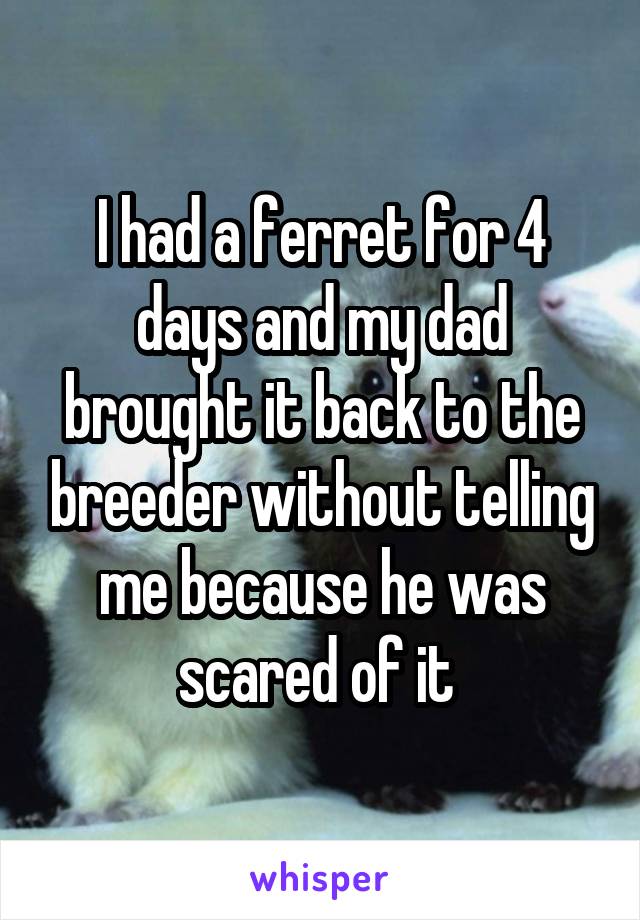 I had a ferret for 4 days and my dad brought it back to the breeder without telling me because he was scared of it 