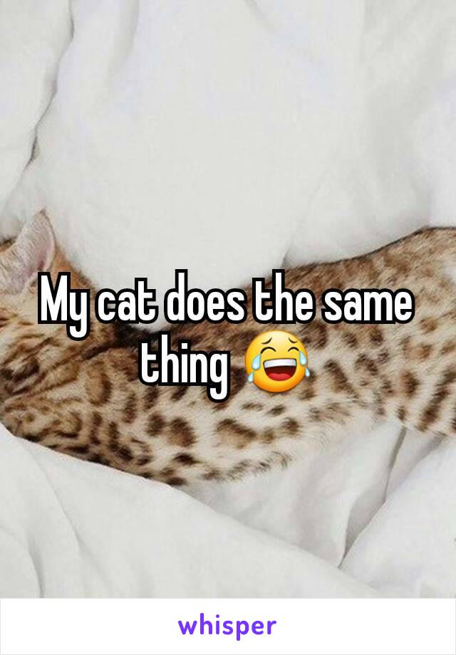 My cat does the same thing 😂