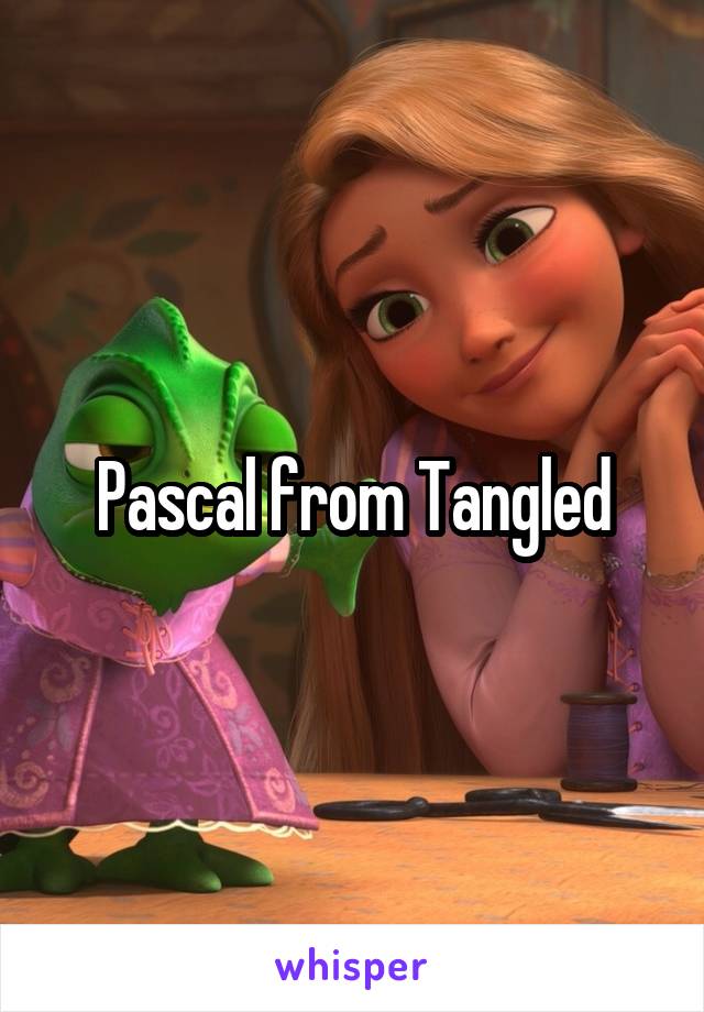 Pascal from Tangled