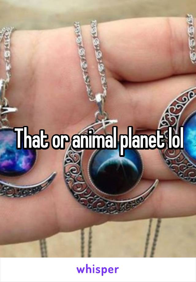 That or animal planet lol