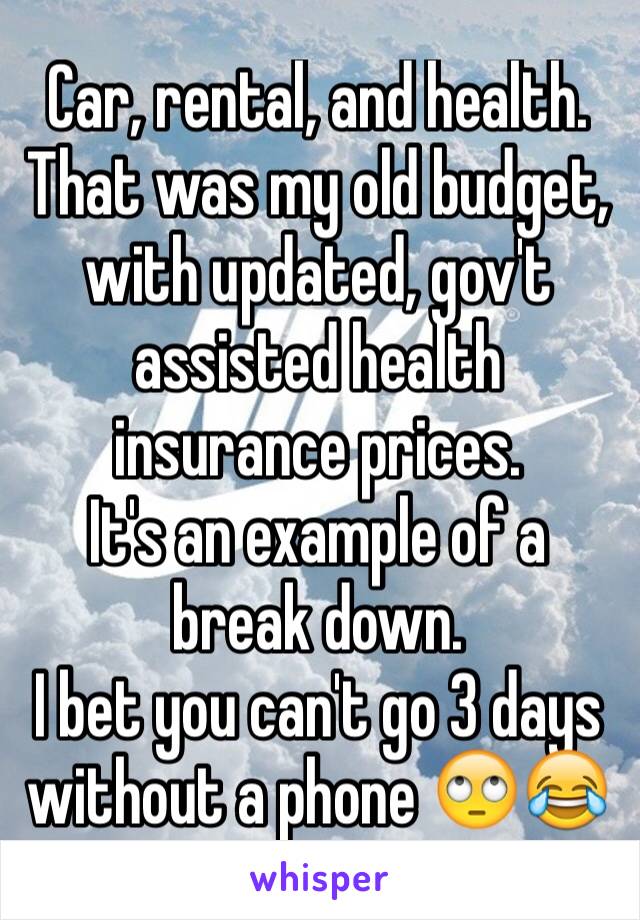 Car, rental, and health. That was my old budget, with updated, gov't assisted health insurance prices. 
It's an example of a break down. 
I bet you can't go 3 days without a phone 🙄😂