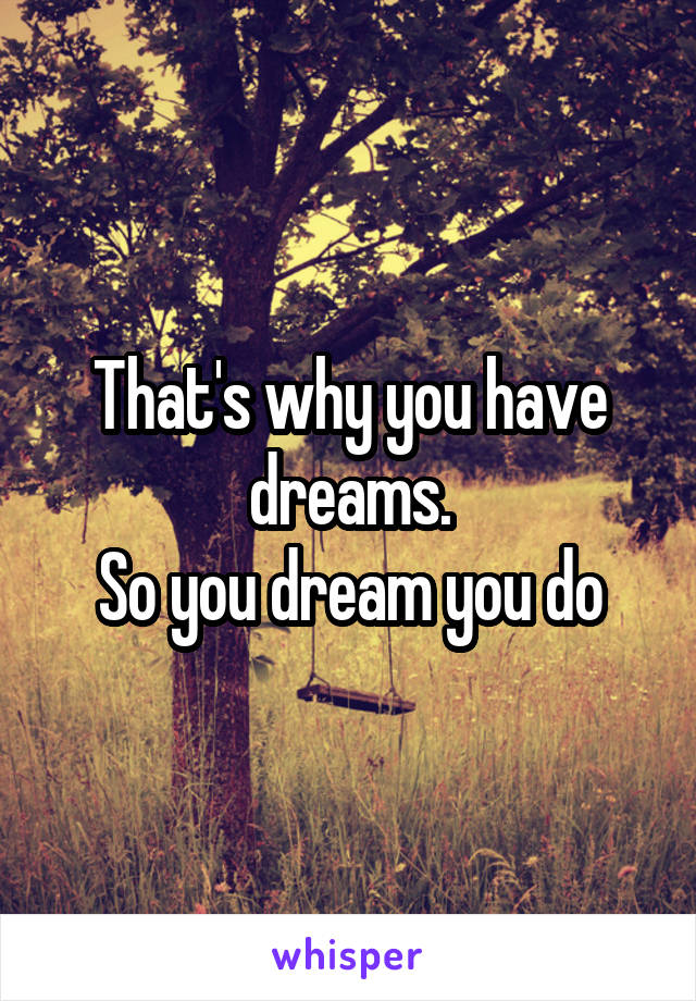 That's why you have dreams.
So you dream you do