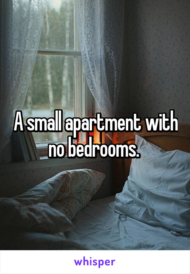 A small apartment with no bedrooms. 