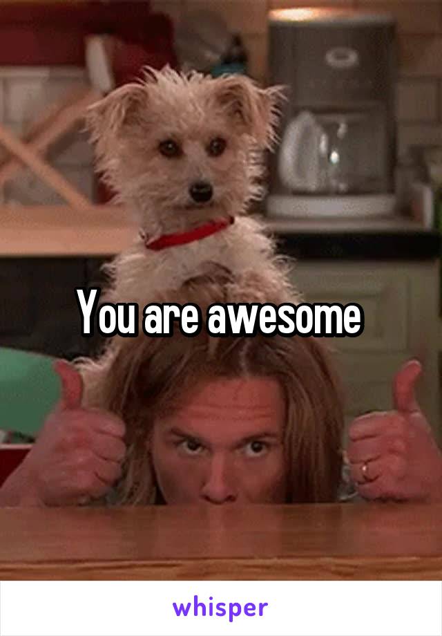 You are awesome 