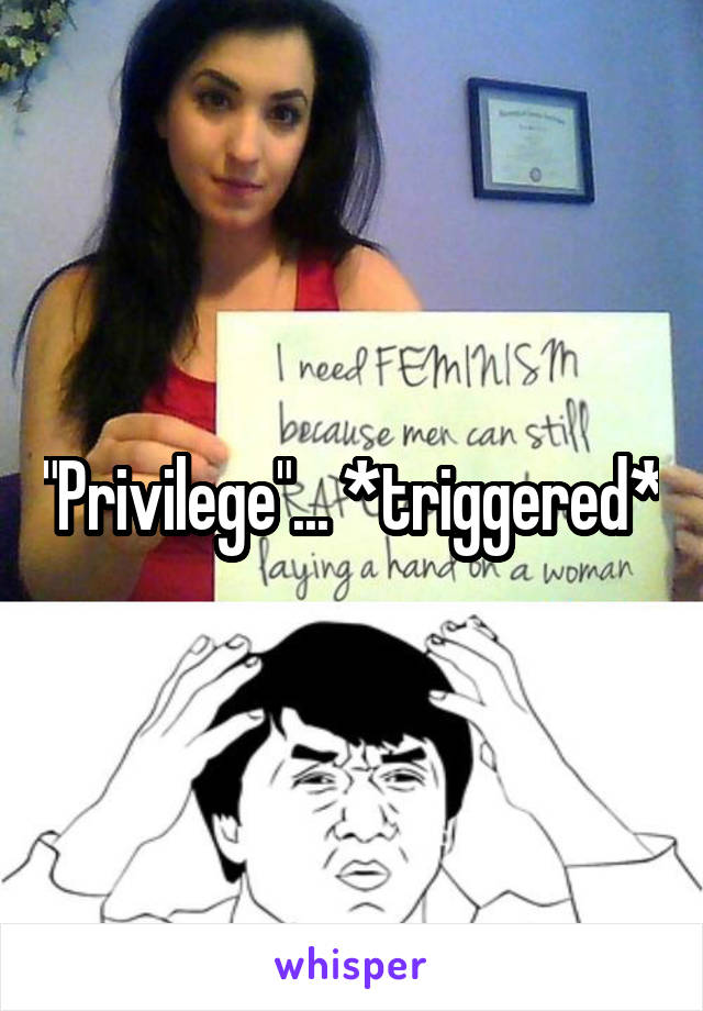 "Privilege"... *triggered*