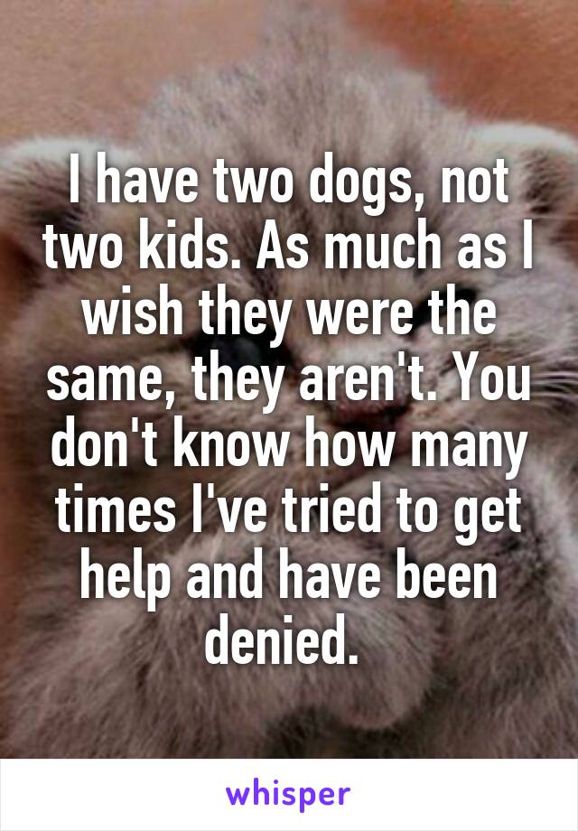 I have two dogs, not two kids. As much as I wish they were the same, they aren't. You don't know how many times I've tried to get help and have been denied. 