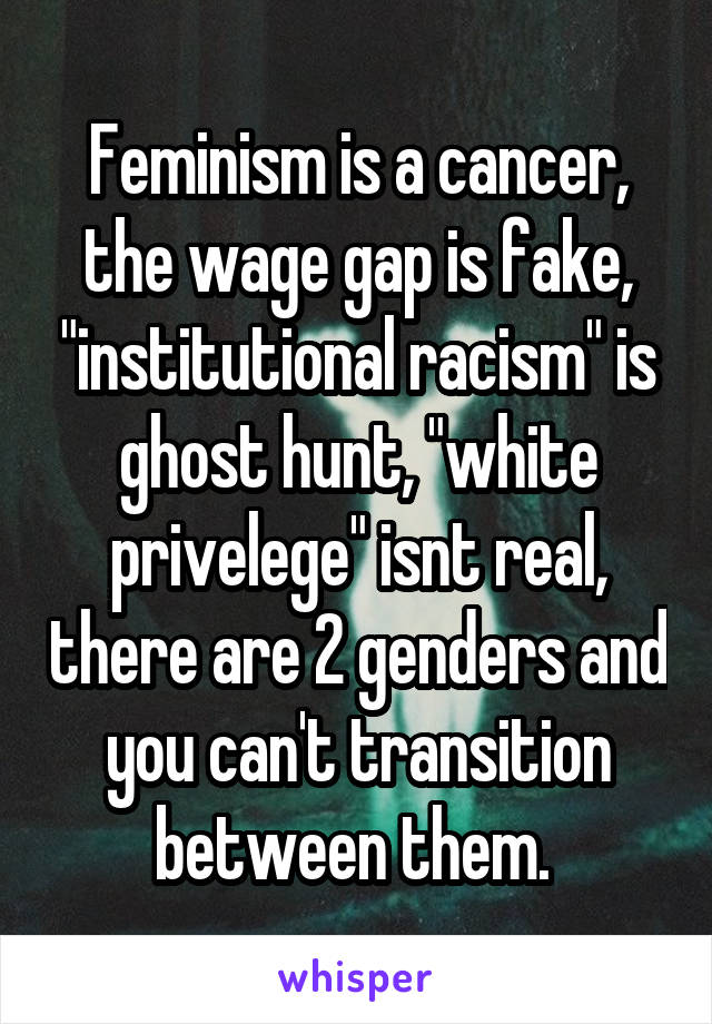 Feminism is a cancer, the wage gap is fake, "institutional racism" is ghost hunt, "white privelege" isnt real, there are 2 genders and you can't transition between them. 