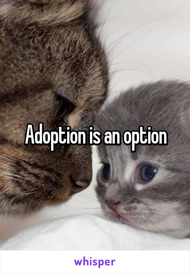 Adoption is an option