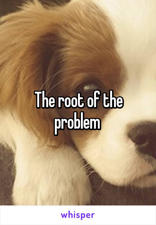 The root of the problem 