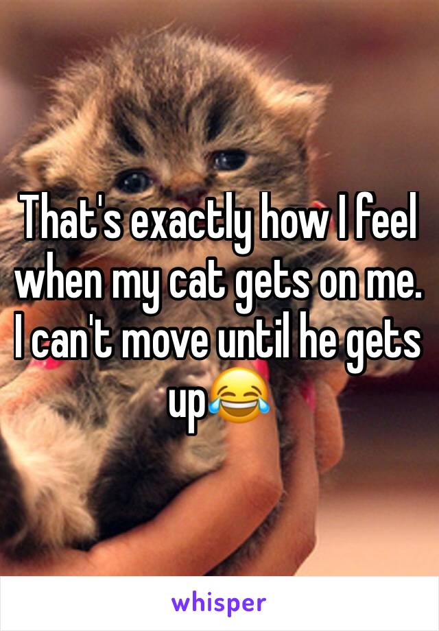 That's exactly how I feel when my cat gets on me. I can't move until he gets up😂