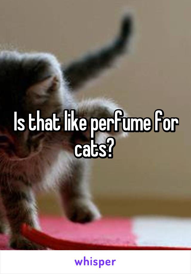 Is that like perfume for cats? 
