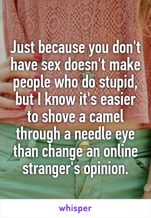 Just because you don't have sex doesn't make people who do stupid, but I know it's easier to shove a camel through a needle eye than change an online stranger's opinion.