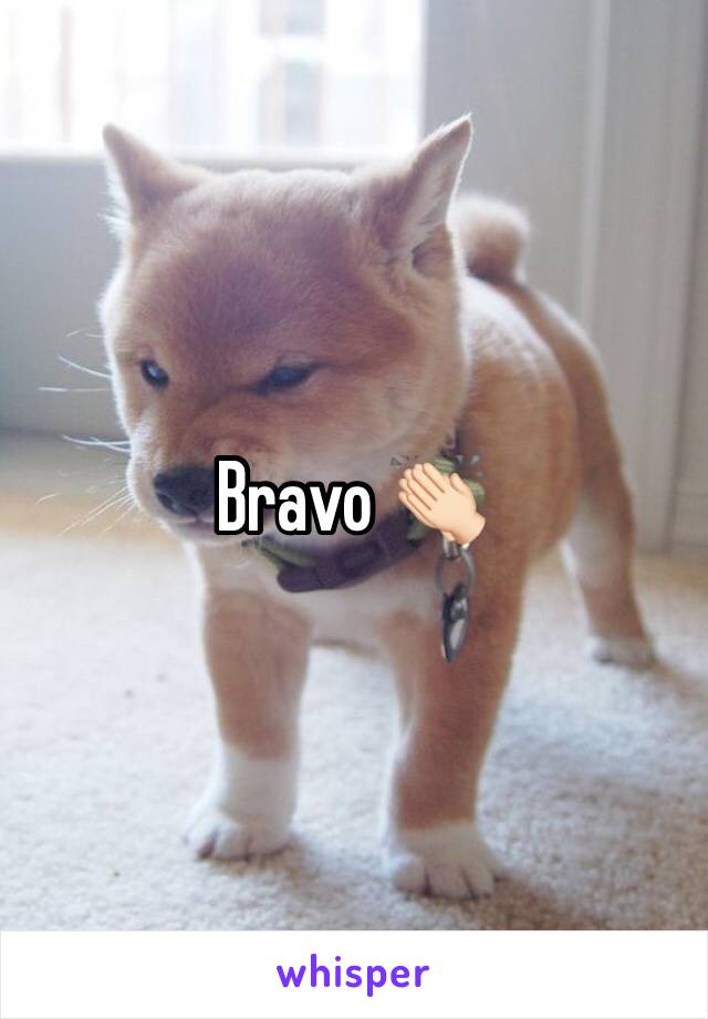 Bravo 👏🏻