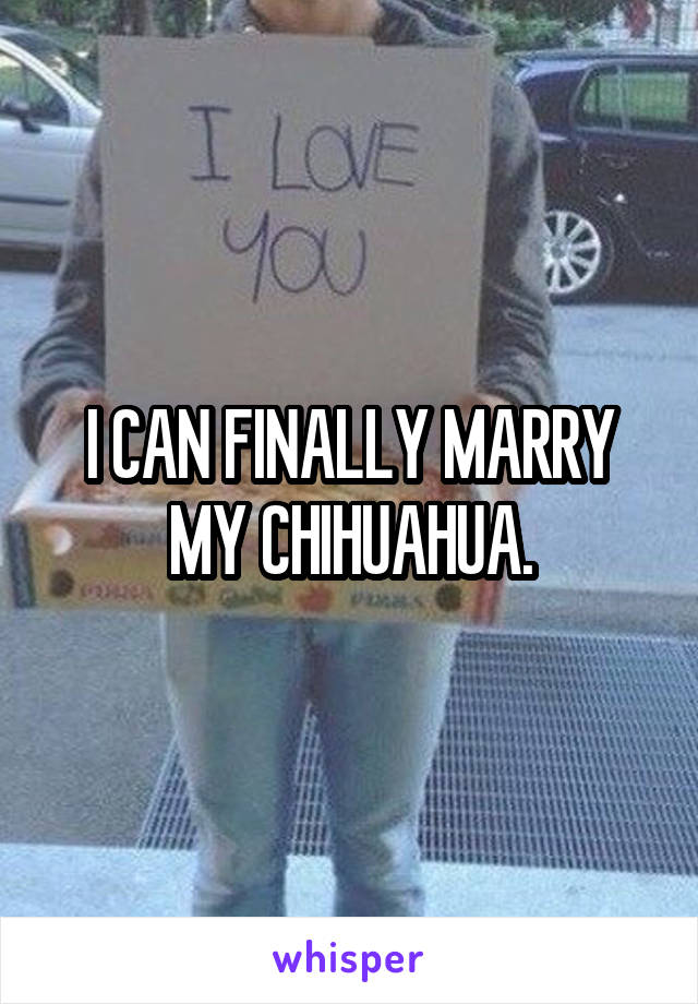 I CAN FINALLY MARRY MY CHIHUAHUA.