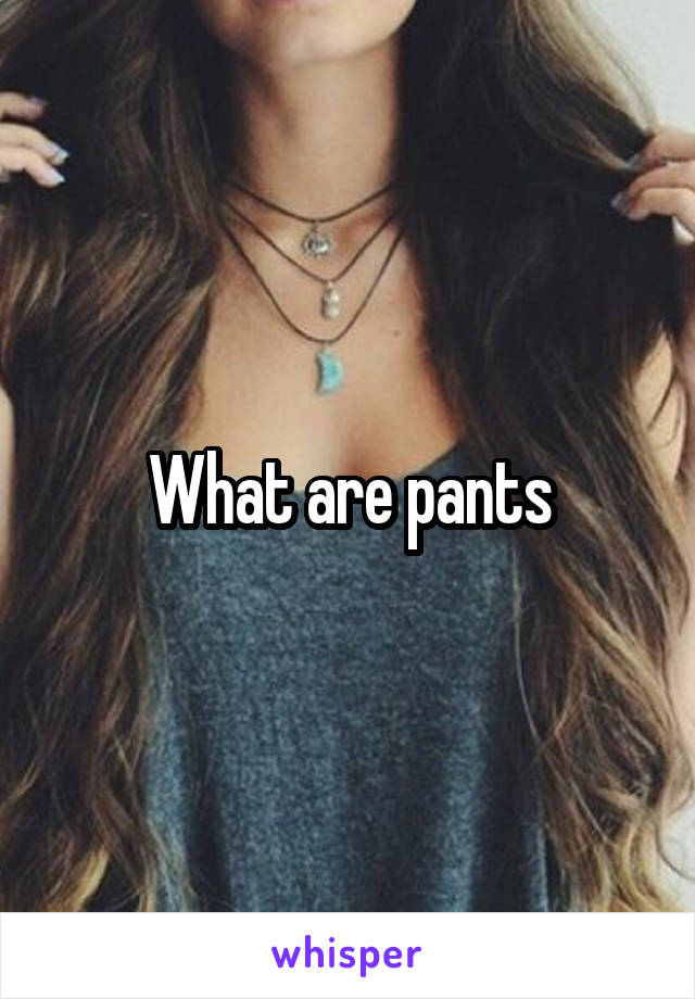 What are pants