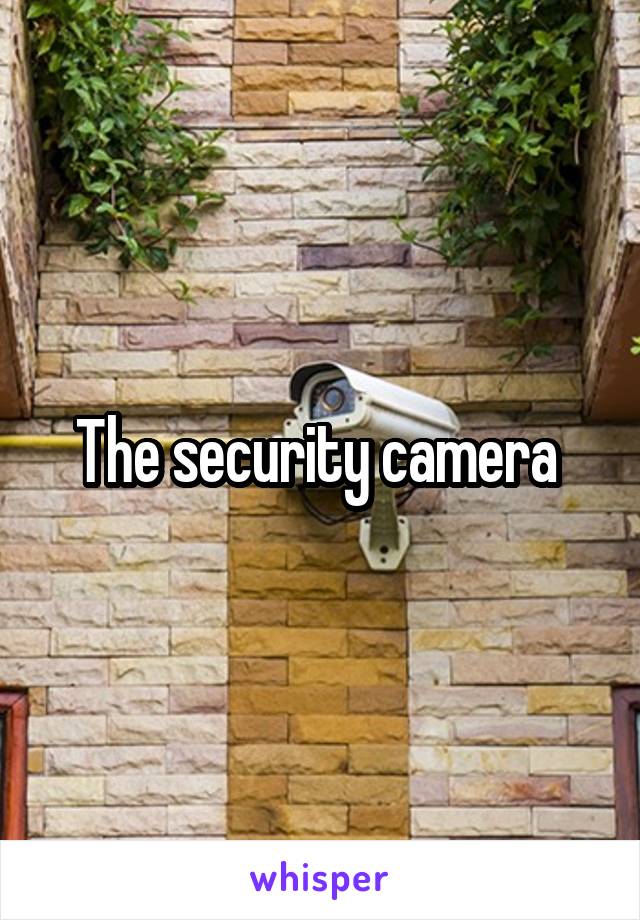 The security camera 