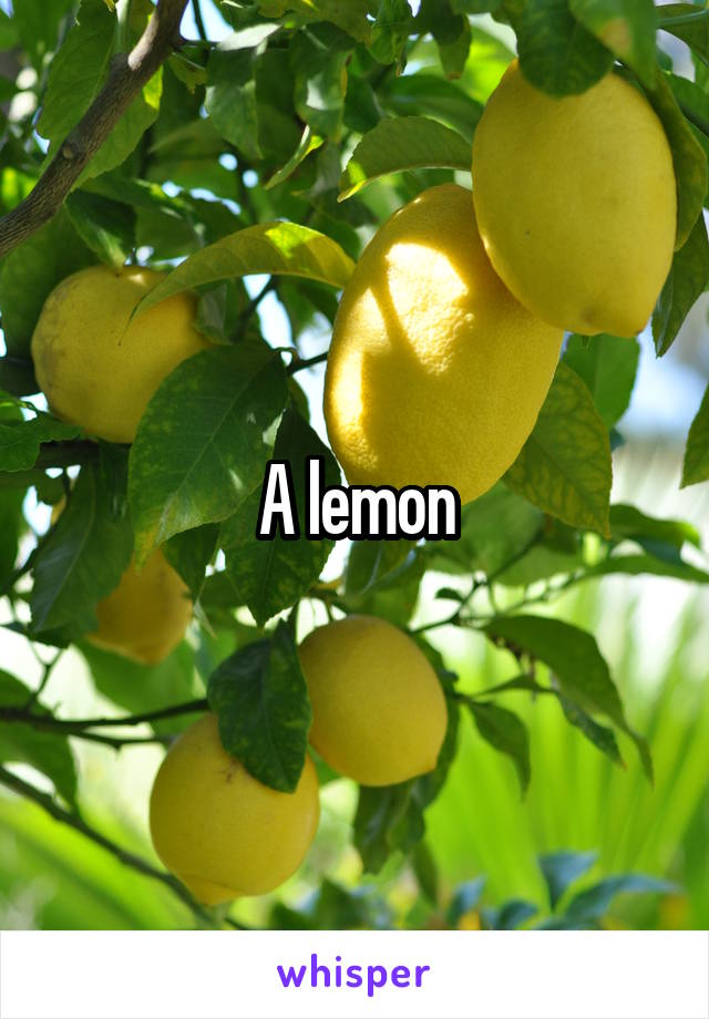 A lemon