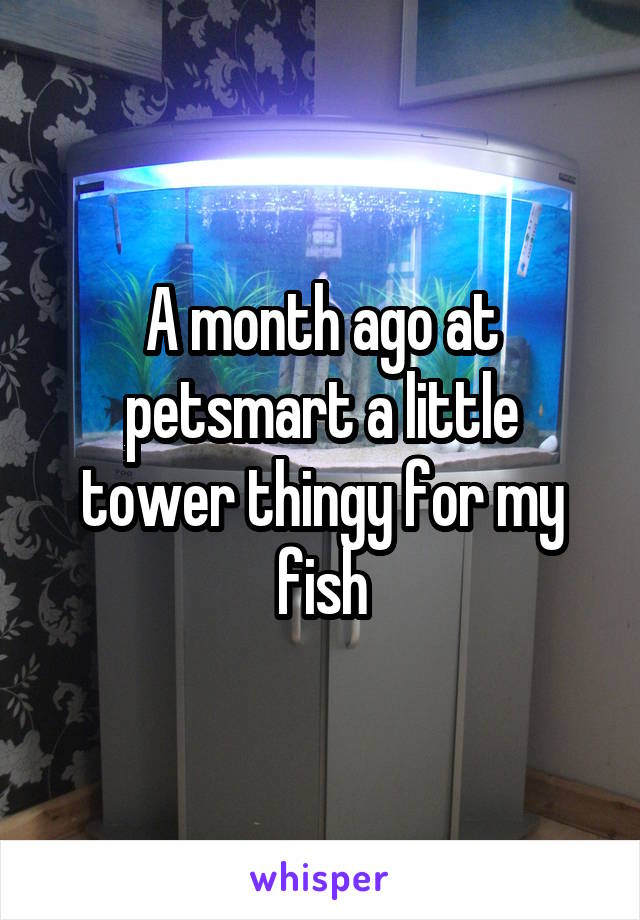 A month ago at petsmart a little tower thingy for my fish