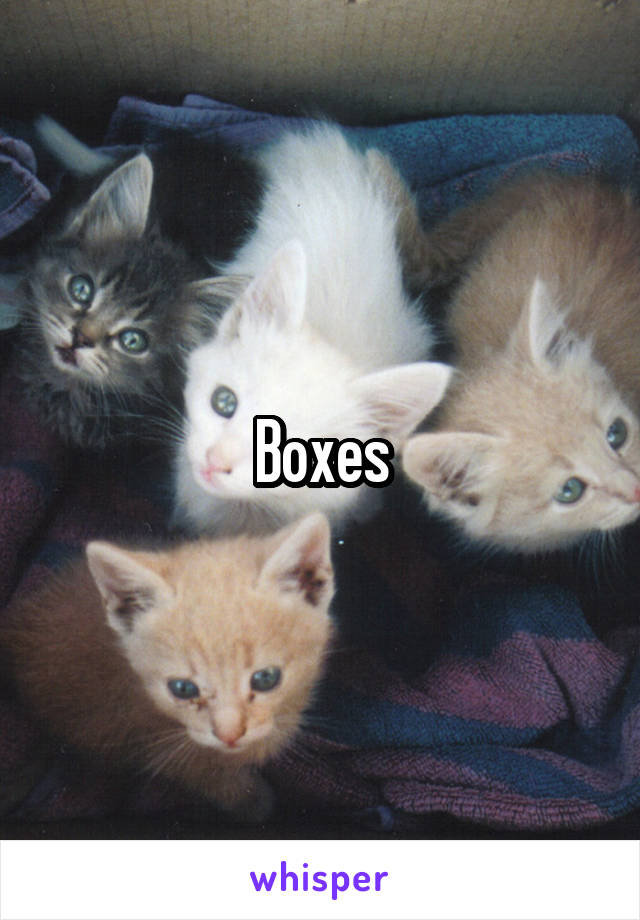 Boxes