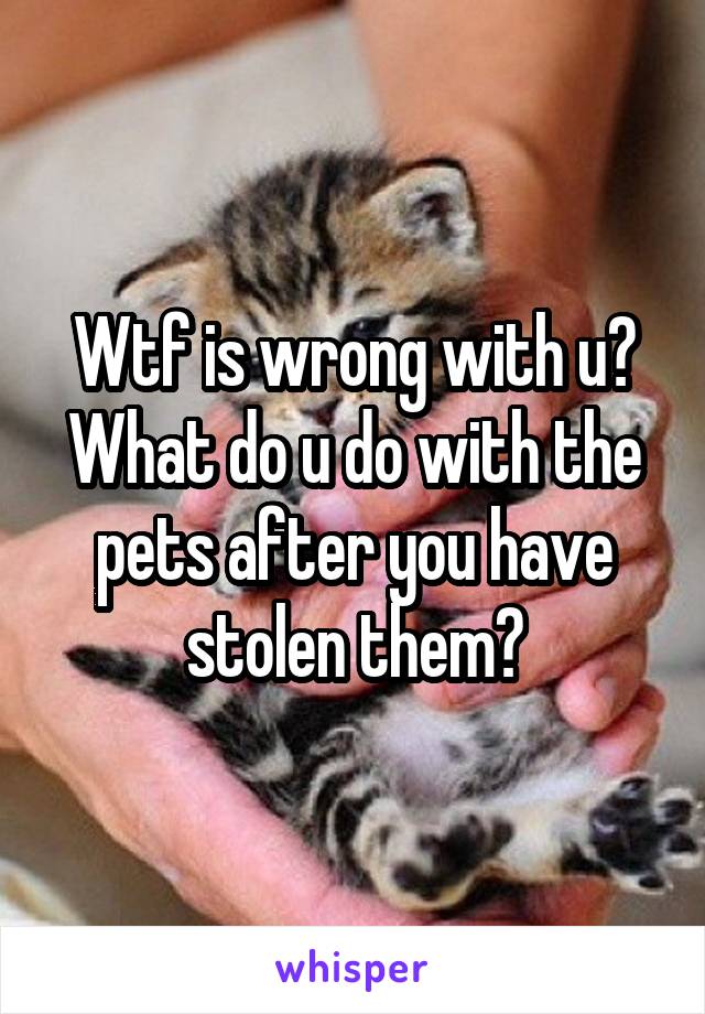 Wtf is wrong with u? What do u do with the pets after you have stolen them?